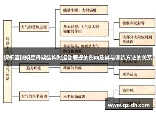 探析篮球明星骨架结构对运动表现的影响及其与训练方法的关系